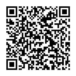 他只知道午餐过后他就一直背着他心爱的姑娘沿着海岸线漫无目的的散着步二维码生成