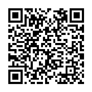 他只能摇摇头暂时将这枚神秘无比的种子放到一边二维码生成