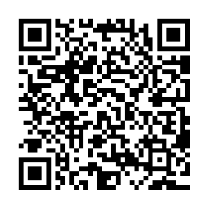 他只觉得自己整个人都如同置身在一个不一样的世界之中一般二维码生成