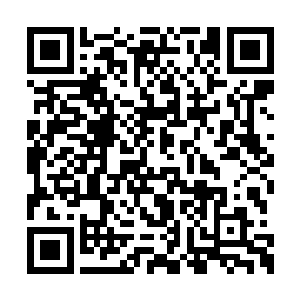 他可以安心的提升实力而不去管如何应对血雷劫二维码生成