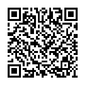 他可以随便用任何一招去秒杀地级大圆满的高手二维码生成