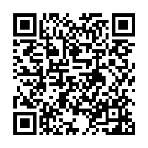 他可就……鹿师姐凭什么判定李谦拍电影就会比我好呢二维码生成