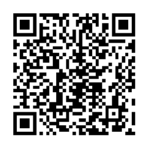 他可是号召了不少摩天界仙尊境老祖参与对羊羽天的追捕二维码生成