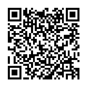 他和叶婉依从在青轮镇认识以来也的确发生过不少事了二维码生成