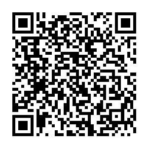 他和小飞一人扛着一箱子通过事先确定好的通道开始往送菜车上搬二维码生成