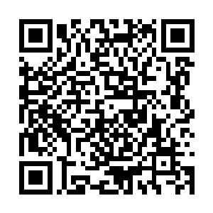 他和李杨的关系不过是乔振飞牵线搭桥连到一起的二维码生成