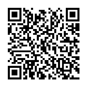 他在赌苏凡有着很强的实力却与那群人不是一伙的二维码生成