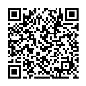 他在这之前想了无数次自己家里到底应该是什么样二维码生成