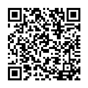 他女儿蔡文姬教您文史音律……太后算是有过两年执政经验二维码生成