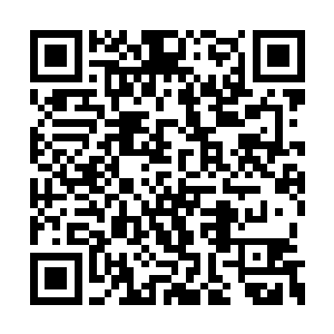 他如数的将这一系列的政策措施全部颁发了下去二维码生成