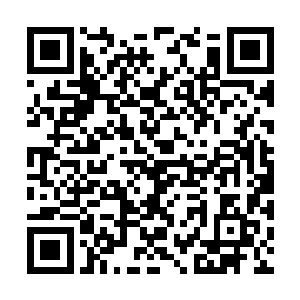 他孙家是没有实力能够抵挡得住拥有仙君的矮人星二维码生成