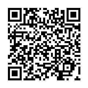 他完全没有任何的办法抵御我七倍道统的九阳境实力二维码生成