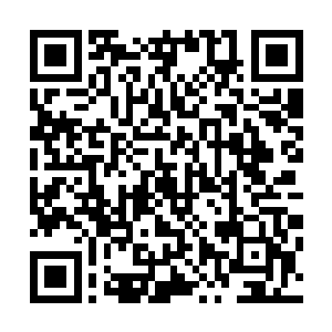他完全没有想到一次知识之海的询问会让他有这么大的收获二维码生成