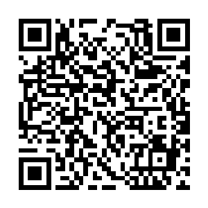 他定会把我给骂得狗血淋头――我活了这么多岁数二维码生成