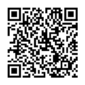 他实在不忍心看德高望重的冷药师被个小丫头耍的团团转了二维码生成