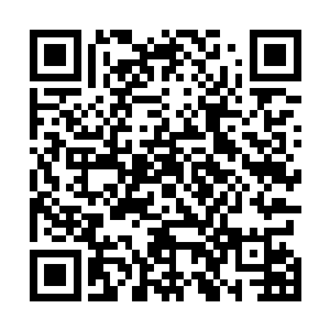 他实在不理解张潇晗为什么要弄清楚这个东西形成的时间二维码生成