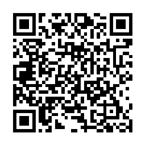 他实在没有想到一个家族的a级实力的长老便这么死了二维码生成