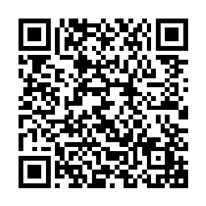 他将手里拳头大的火弹狠狠地朝明显还没发现目标的恐鳄扔过去二维码生成