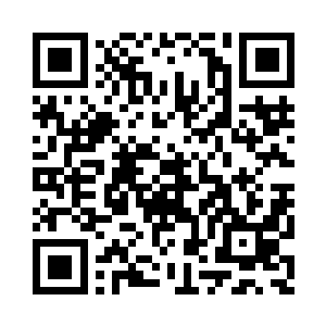 他小乾坤内的小石族必定会翻着番增长二维码生成
