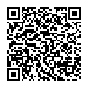 他就不会把蛋圆圆几个人从临时仓库里淘出来的一半东西送上飞舰二维码生成