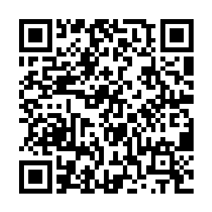 他就不信那葬魂会还能在重重保护下把许嫣红给拐了二维码生成