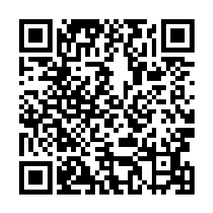 他就不肯承认在赏花会上的自己和今天的崔嵘是一路货色二维码生成