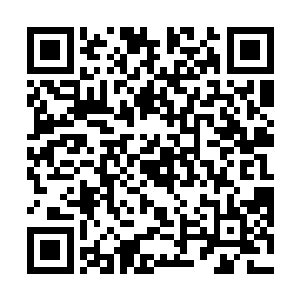 他就会一门心思的扑在上面礼仪什么的都是全然不顾的二维码生成