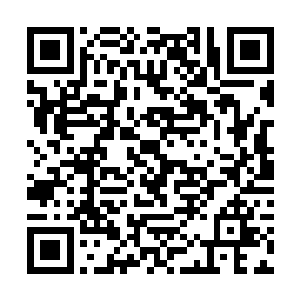 他就只有那么一张替死符和一张圣道的符箓作为底牌二维码生成