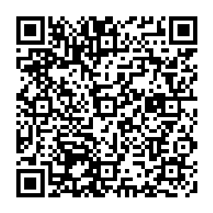 他就已经被那极致的痛楚折磨的倒在地上缩成了一团……那种痛楚可不是这么简单的二维码生成