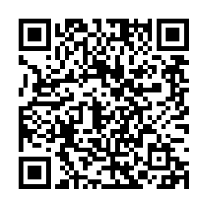 他就是想把故意破坏和谈的罪名归咎于安莫尔一方二维码生成