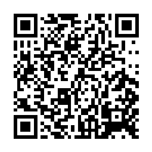 他就用他那还略显稚嫩的肩膀跟他爹一起赚十分公分二维码生成