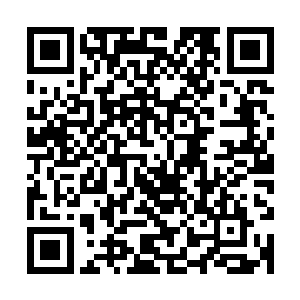 他已经发现在数千里外已经有几名仙尊朝着自己的方向飞速接近二维码生成