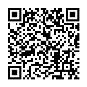 他已经安排顾晓梅在村子里的菜馆里订了一桌农家菜二维码生成