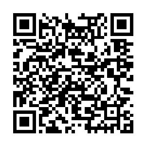 他已经完全沉浸在了修罗天道和神文术的世界之中二维码生成