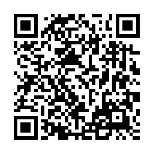 他已经把他这几年的认真记录的生物笔记资料整理油印出一份二维码生成