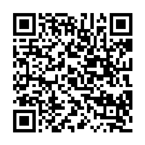 他已经来不及关注叶问天为什么会出现在这里的原因了二维码生成