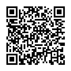 他已经看到不少从他身边经过的妖兽都是这样了二维码生成
