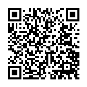 他应该从一开始就知道夜氏家族是什么样的不是吗二维码生成
