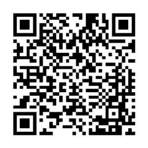 他当初是哪根什么不对从一堆实习生里挑了这么个人才亲自带二维码生成