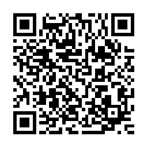 他当然不必亲自动手去开启丹炉……我怎么把这件事儿给忘了二维码生成