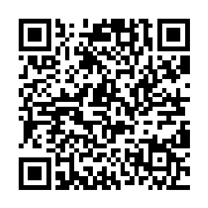 他很好奇张潇晗是怎么学会这种妖族才掌握的文字的二维码生成