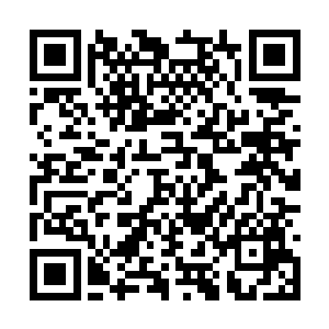 他很快在树冠中央一处低洼的树杈中间发现了异样二维码生成