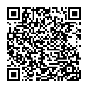 他很清楚以他的本体已经是没有多少混沌之气可以让这混沌原始之树吸收了二维码生成
