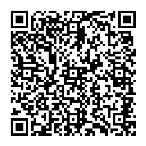 他心念一动从枝头一跃而隐匿与虚空的云层上翻身躺了下來默默的看着是否有一天他当真能够站在顶峰二维码生成