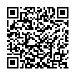 他必须要从三堆骨头中找出全部被炼制过的骨头二维码生成