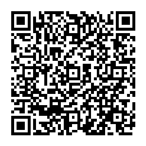 他忽然明白了为何在白露星上一直被认为是颗死蛋的蛋爷爷跑到这里就忽然可以孵化了二维码生成