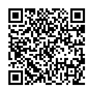 他怎么也不相信自己父亲手下的小弟居然就这么的不堪一击二维码生成