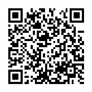他怎么就忘了全族公认叶青和脾气和老爷子最像了二维码生成