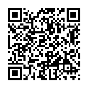 他怎么能这么肯定我会愿意留下来治疗他们的伤患二维码生成