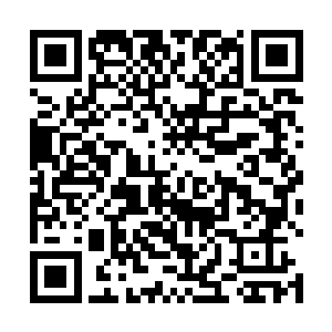 他恨不得食其肉吞其骨无时无刻不在想着怎么弄死白昊二维码生成